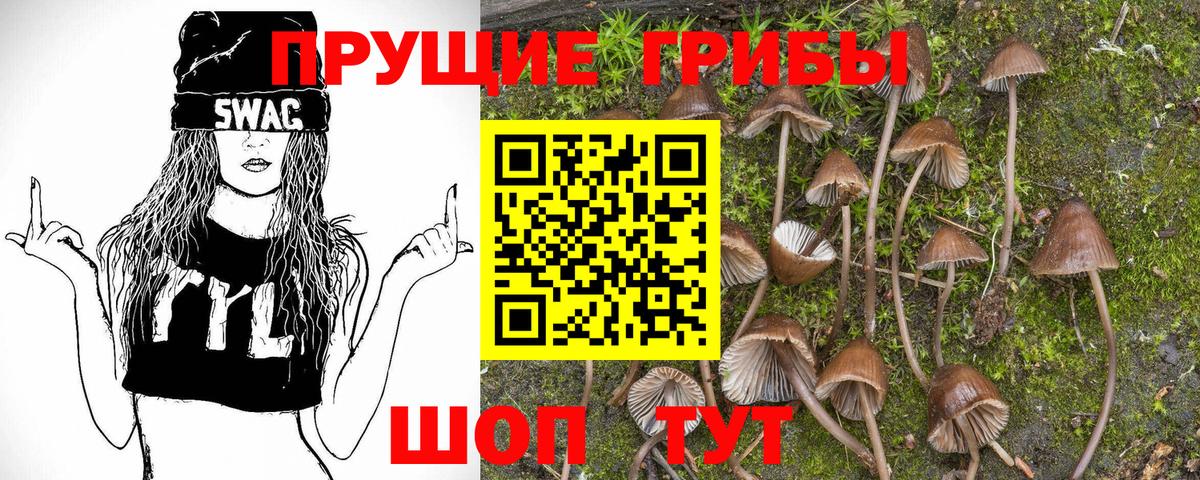 Псилоцибиновые грибы прущие грибы Белебей