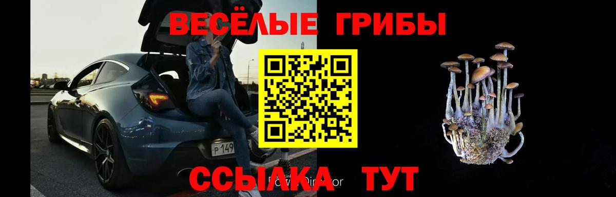Галлюциногенные грибы мухоморы  Галлюциногенные грибы прущие грибы  Вход с VPN  Белебей 